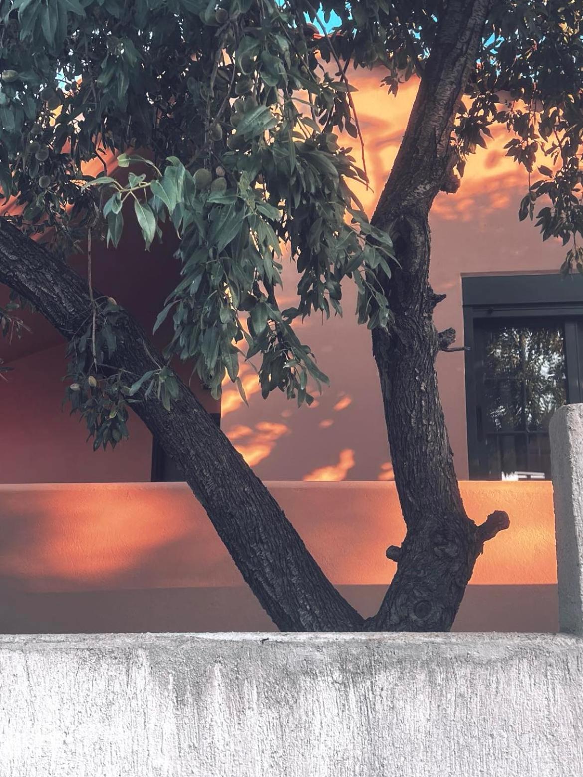 Alfiea Home 65M2 & Alfiea Studio 35M2 Artemida  Dış mekan fotoğraf